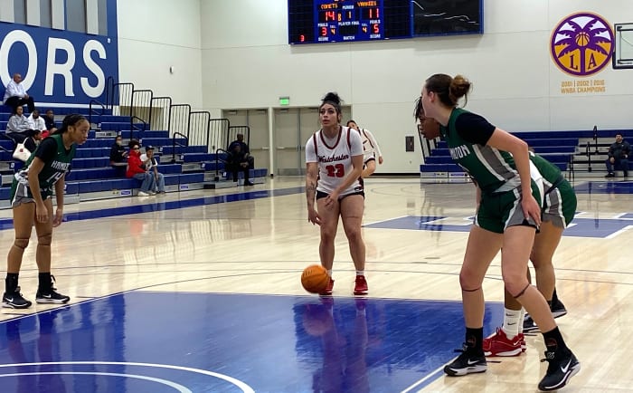 Serenity Johnson (Westchester #23)